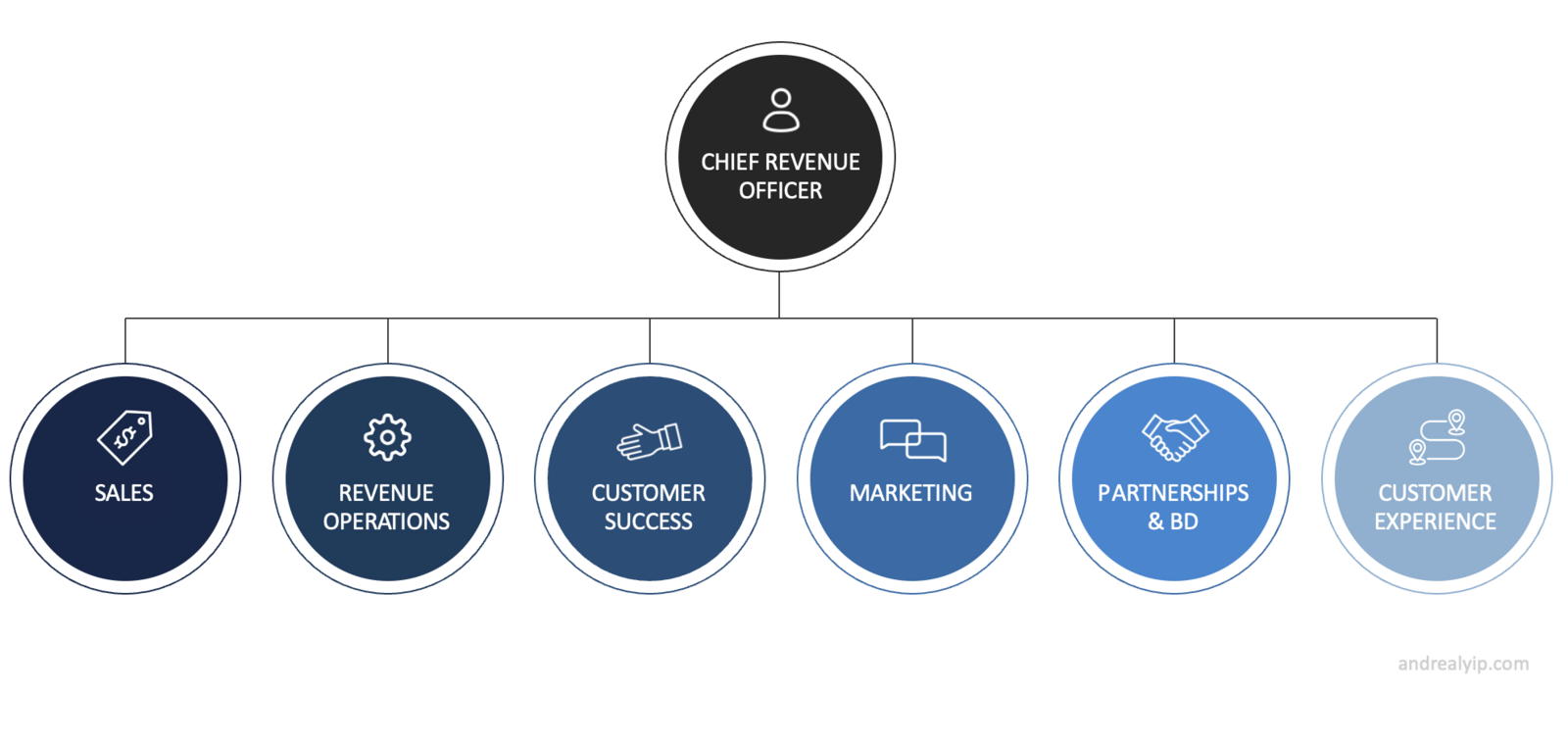 Org chart with the Chief Revenue Officer at the top, above six revenue functions: Sales, Revenue Operations, Customer Success, Marketing, Partnerships & BD, and Customer Experience