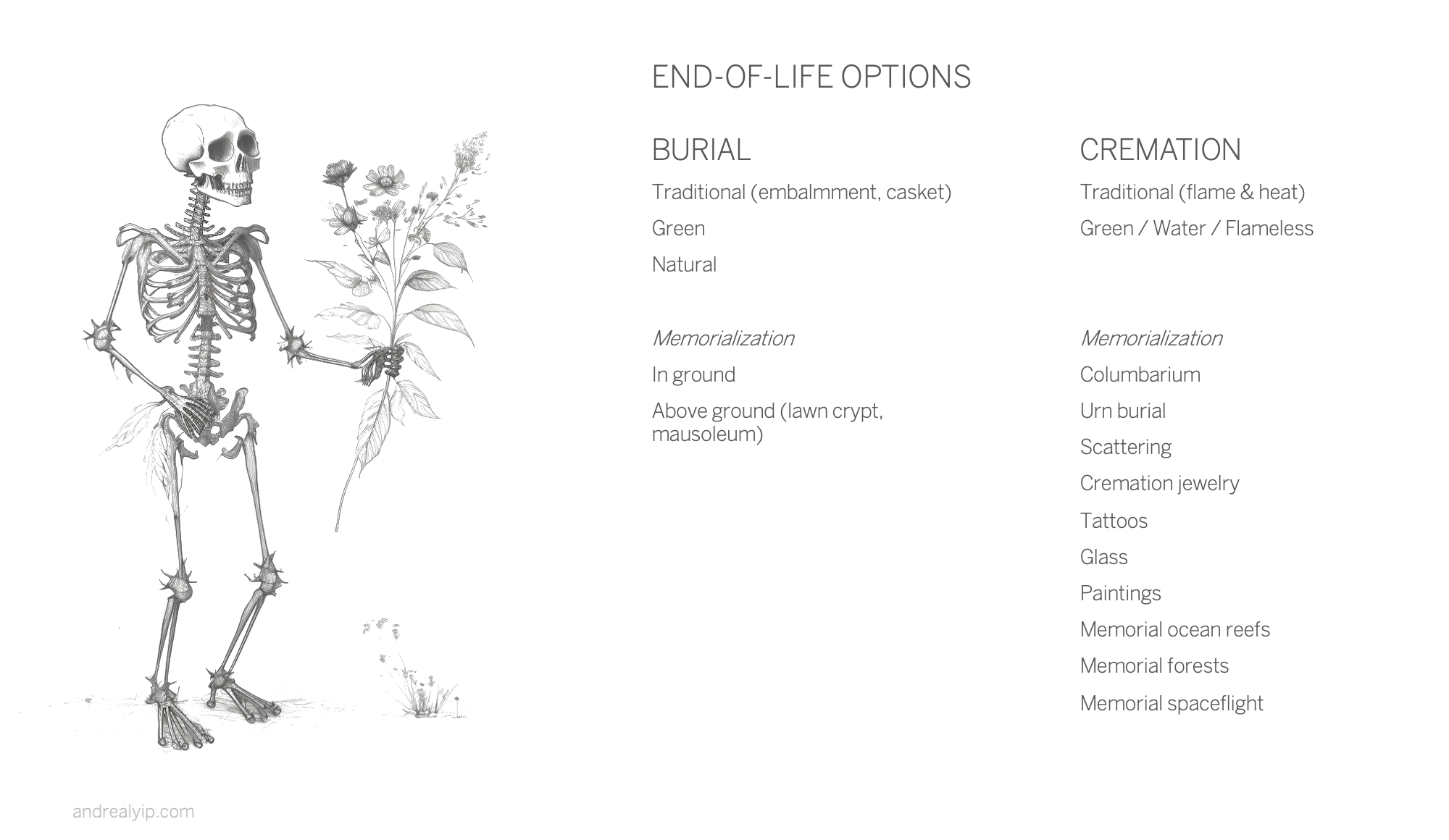 End-of-life options chart comparing burial and cremation choices