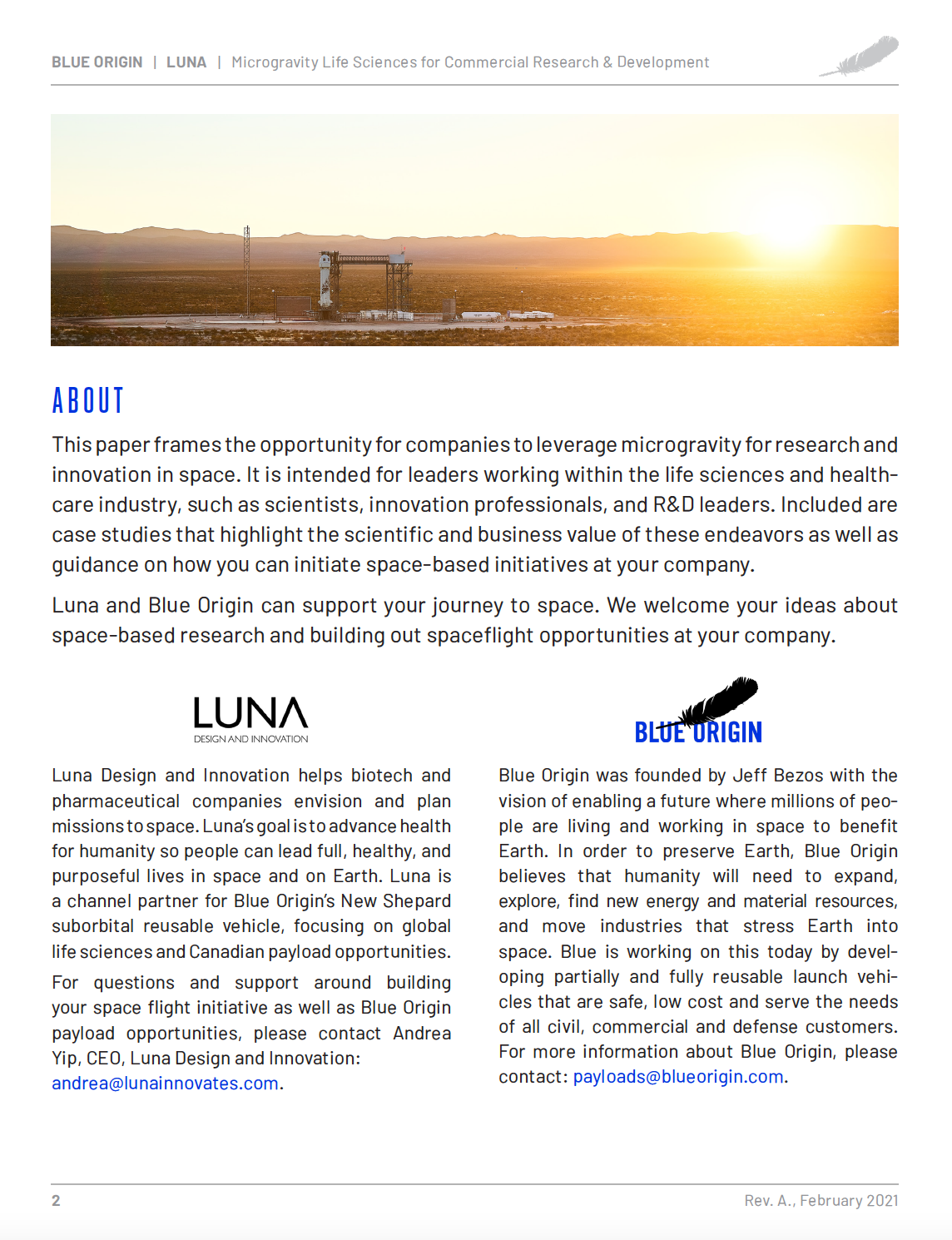 Preview page from the white paper