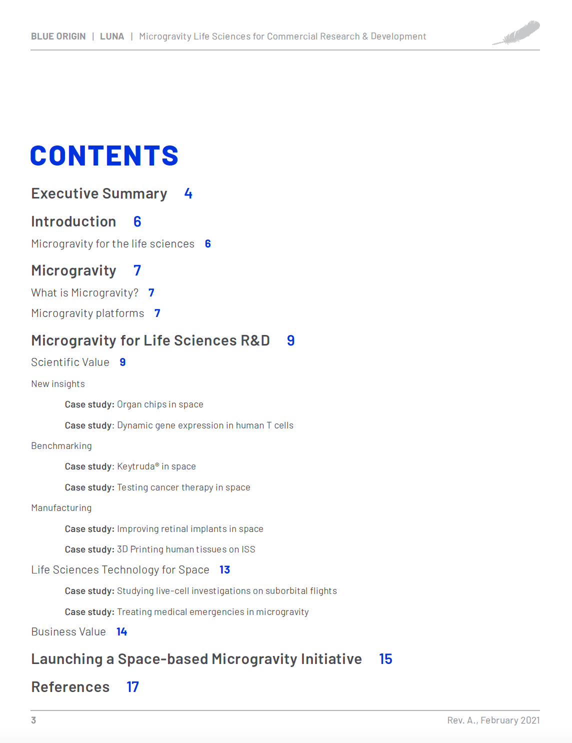 Preview page from the white paper