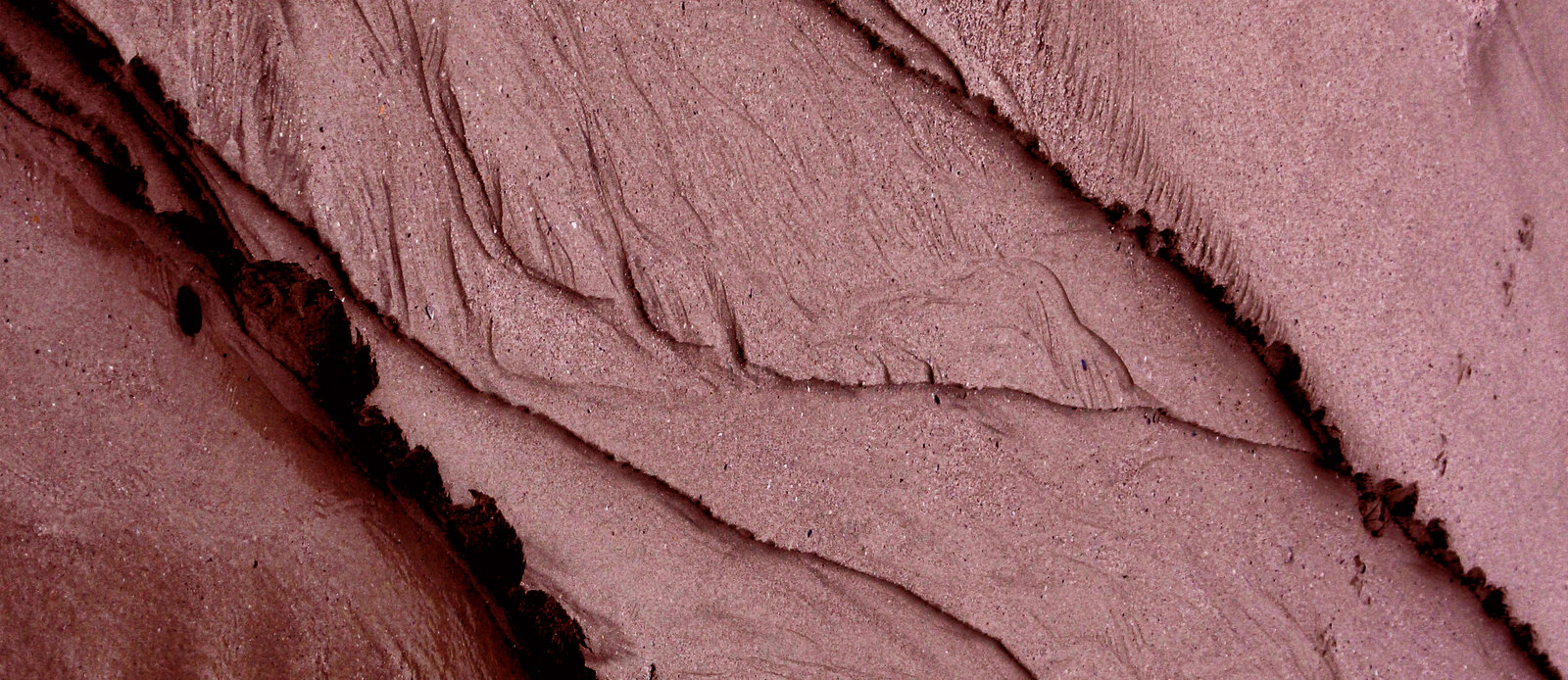 A soft, textured mauve surface