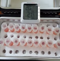T-cells in microgravity payload from Embry-Riddle Aeronautical University