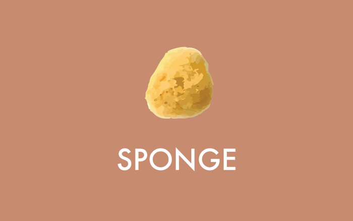 Sponge illustration